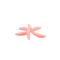 1" Wax Worm
