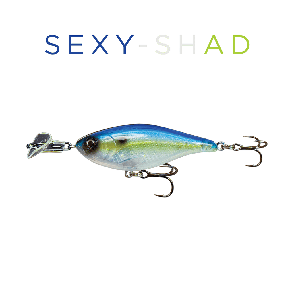 Headbanger Cranky Shad 2-1/2 - Lowwater Field Co.