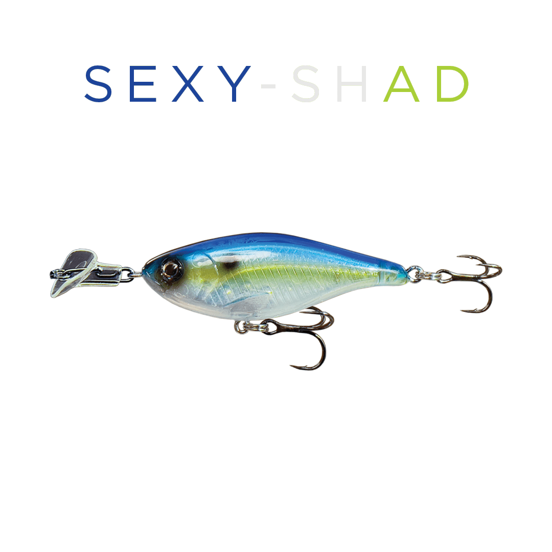 Headbanger Cranky Shad 2-1/2 - Lowwater Field Co.