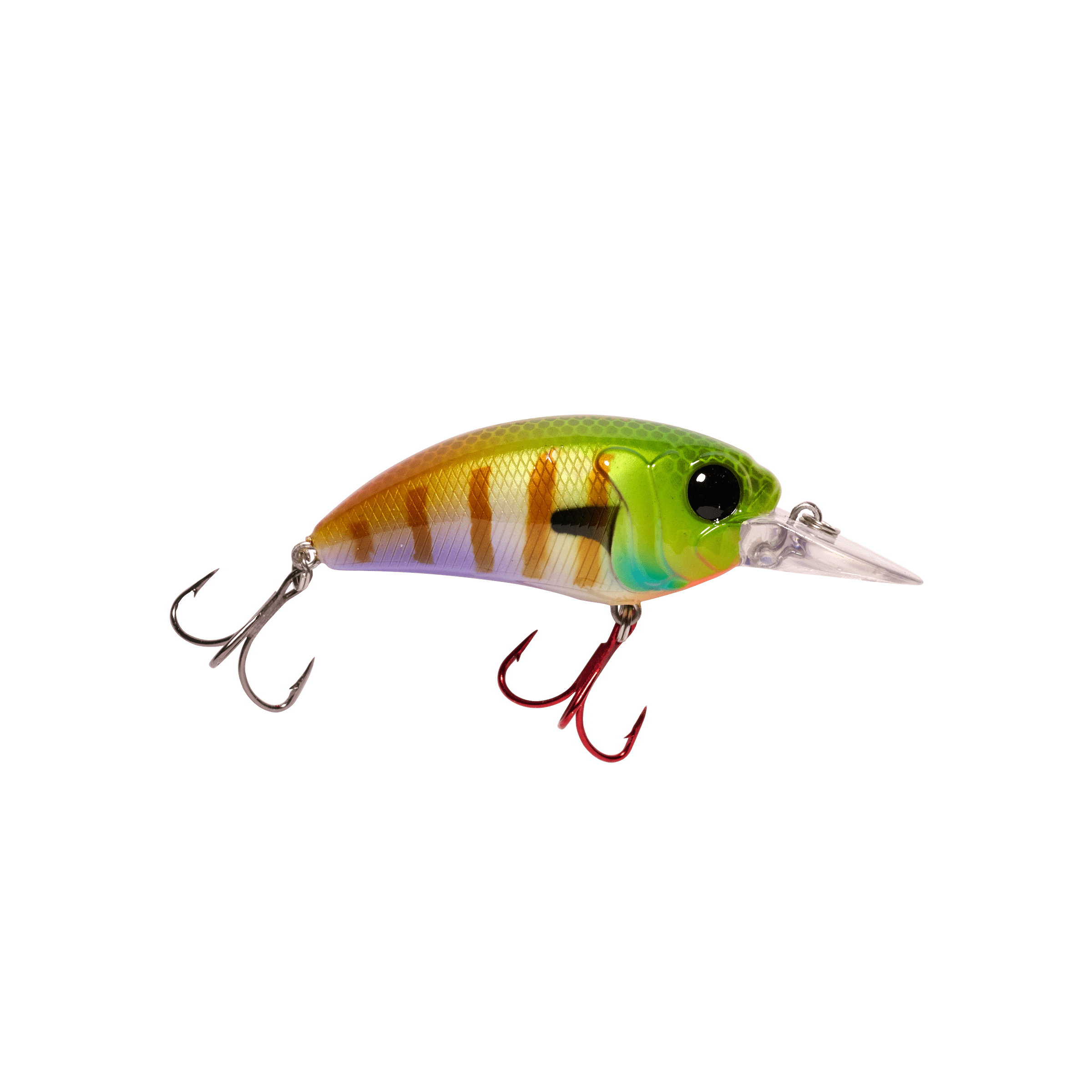 Seeker 6 - Lowwater Field Co.