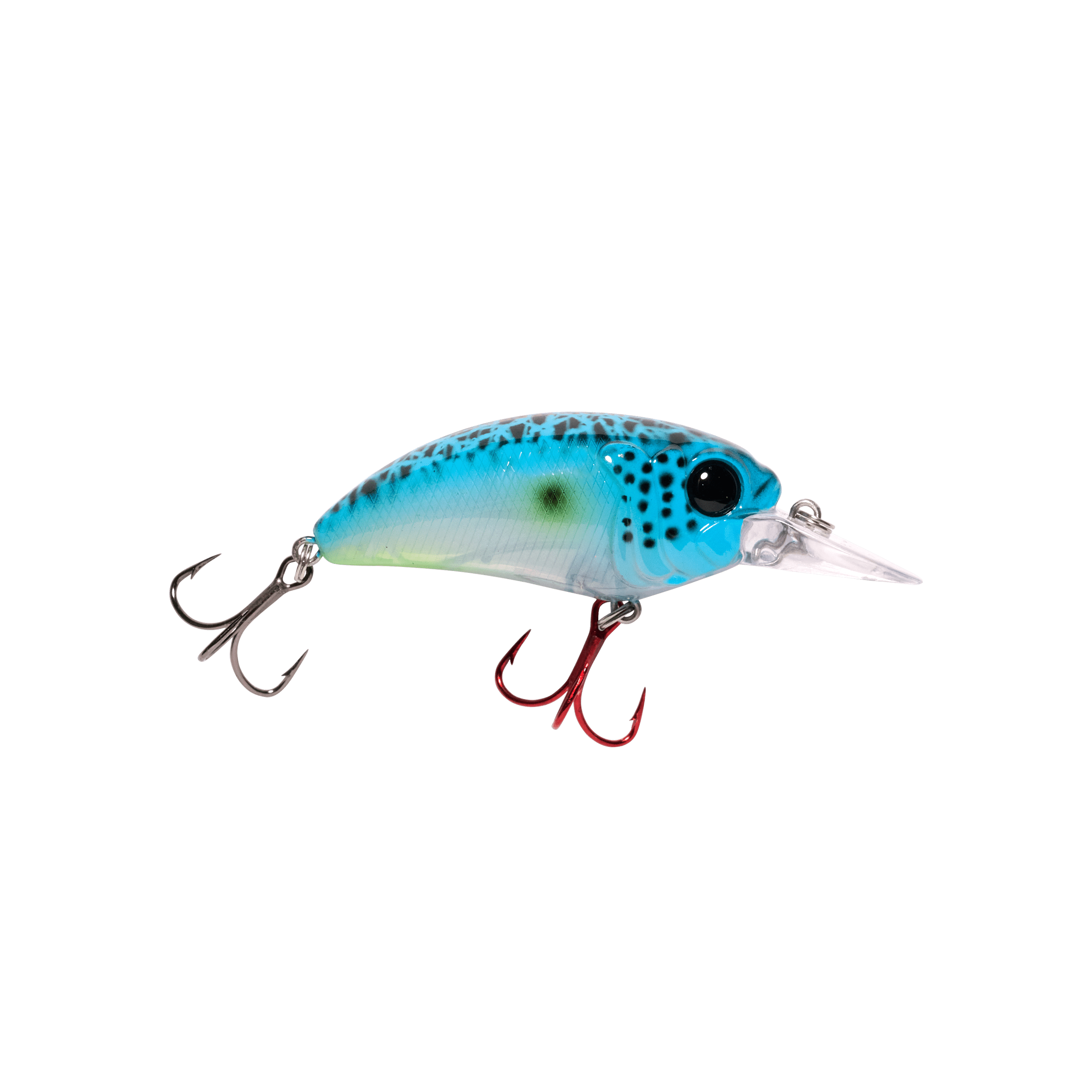 Seeker 6 - Lowwater Field Co.