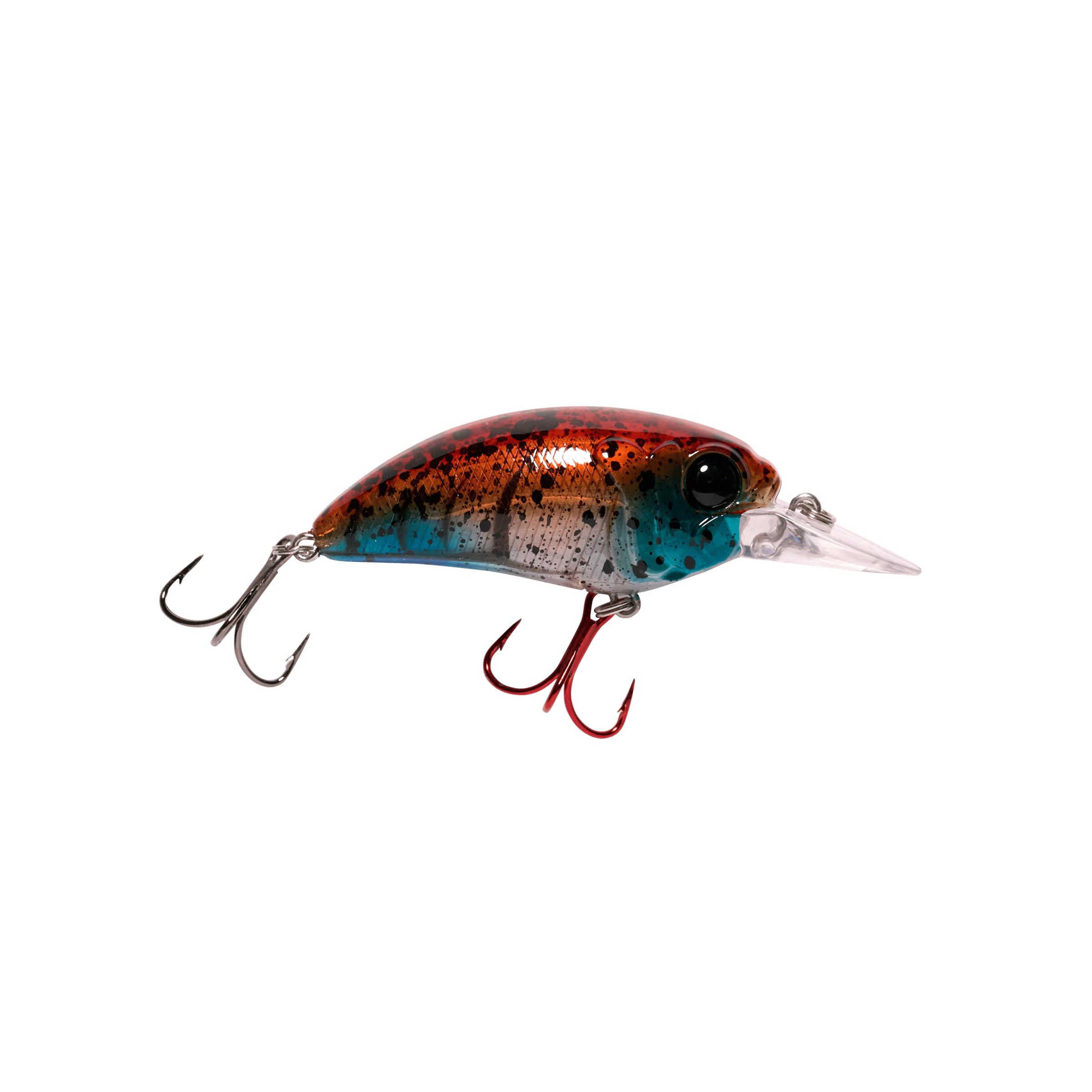 Seeker 6 - Lowwater Field Co.