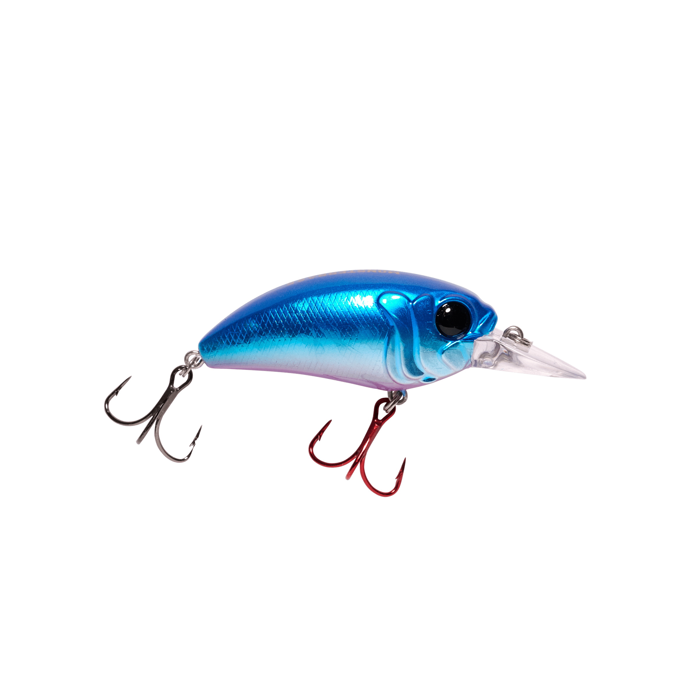 Seeker 6 - Lowwater Field Co.