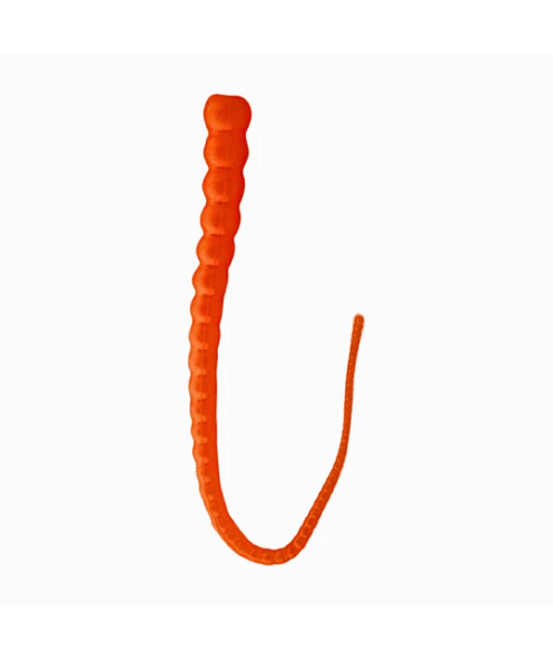 Whip Worm